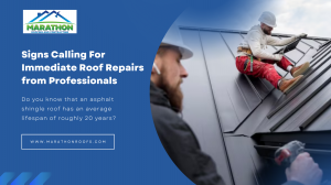 Signs Calling For Immediate Roof Repairs from Professionals
